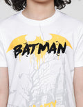 Character Batman Gotham Kaos Anak Laki-Laki
