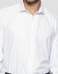 Stanley Adams Men's Solid Regular Long Sleeve Shirt
