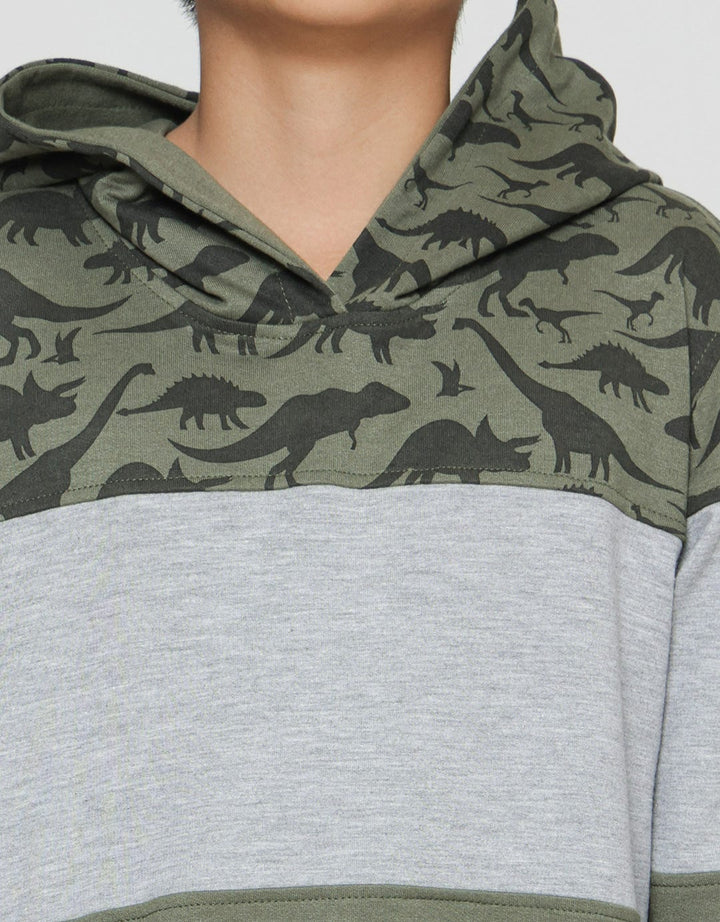 Aero Dino Cut Sewn Sweater Hoody Boys