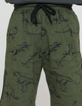 Aero Jersey Dino Print Boys Shorts