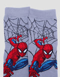 Marvel Spiderman Web Socks Boys
