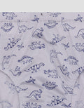 Kidz Too Outline Dino Boys Underwear