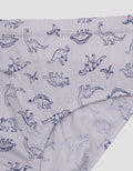 Kidz Too Outline Dino Boys Underwear