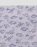 Kidz Too Outline Dino Boys Underwear