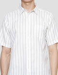 Details Robby Stripes Linen Kemeja Pria