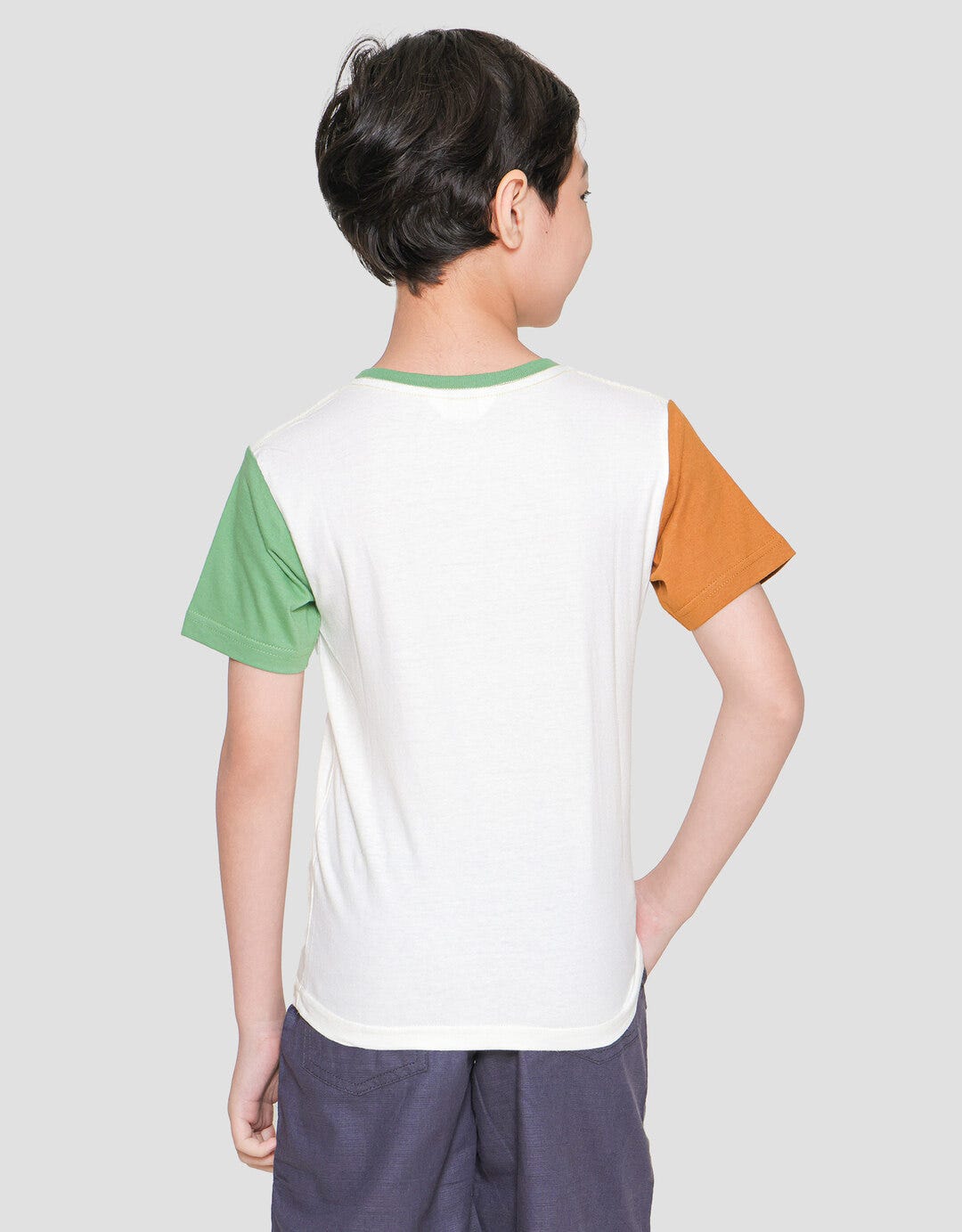 Image 3