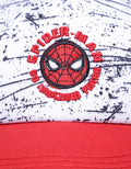 Marvel Amazing Spiderman Hat Boys