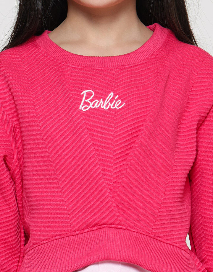 Character Barbie Texture Sweater for Girls