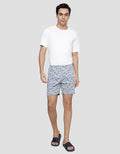 Cole Plane Travel Men's Boxer Shorts