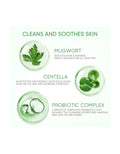 Skintific Mugwort Purifying Micellar Water Makeup Remover 300ml