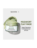 Skintific Mugwort Acne Relief Clay Mask 55g