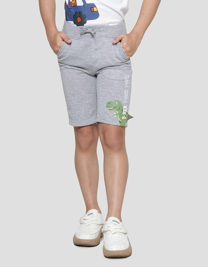 Little M Knit Terry Dino Cucuk Boys Shorts