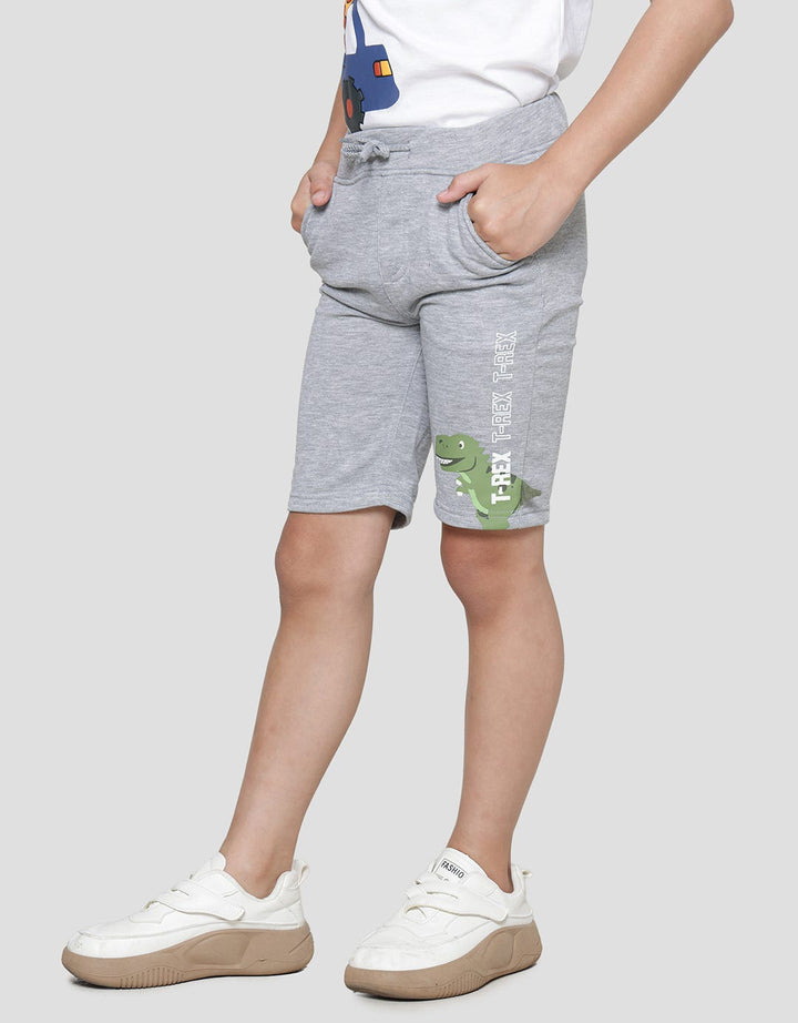 Little M Knit Terry Dino Cucuk Boys Shorts