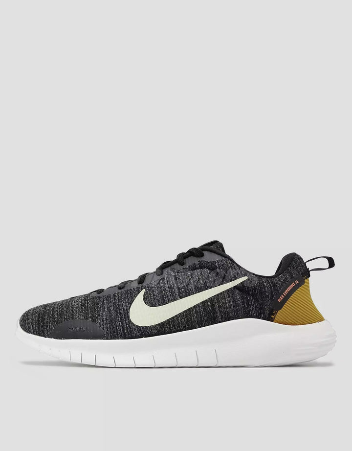 Nike Flex Experience Run 12 DV0740-002 Sepatu Pria