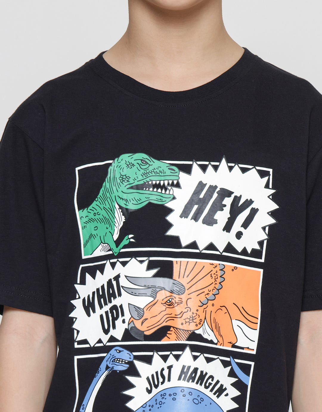 Aero Hey Roarr Kaos Lengan Pendek Anak Laki-Laki