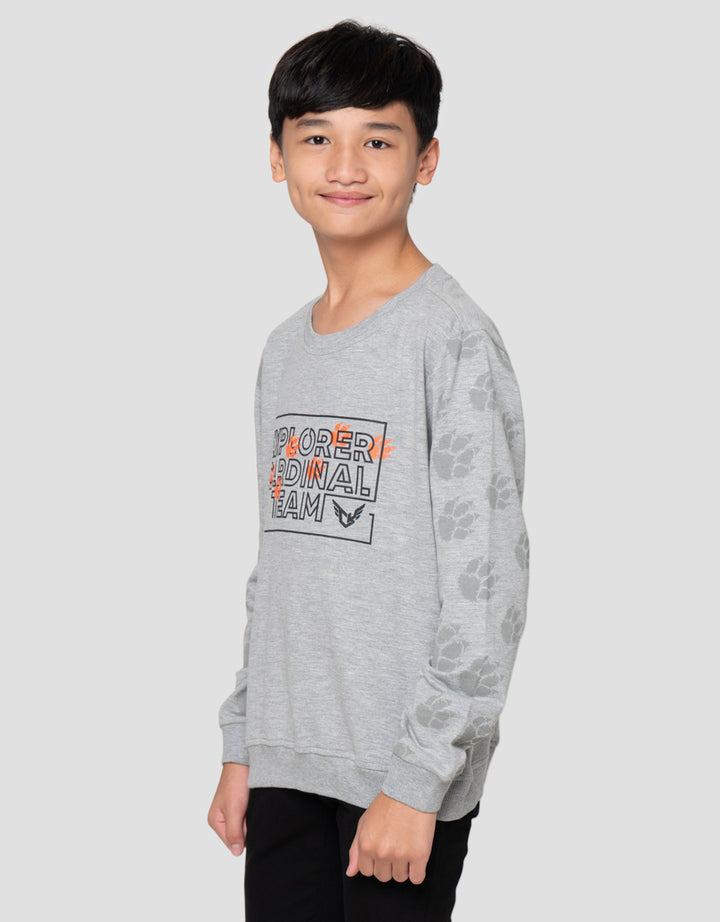 Cardinal Kids Boy Sweater Anak Laki-Laki