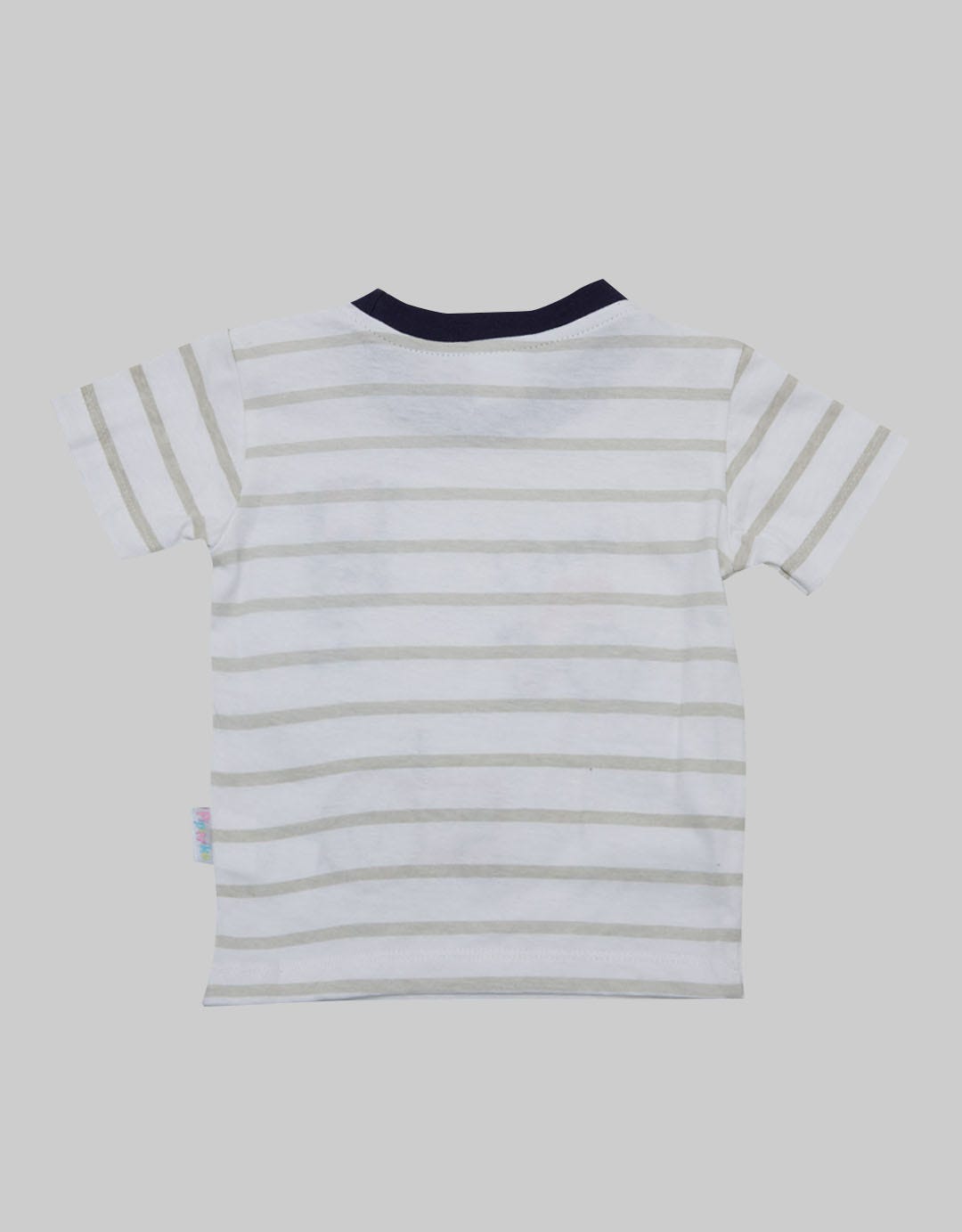 SS  SALUR LITTLE TRA