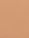 "L'Oreal Paris True Match Powder Foundation Two Way - G8 Gold Cinnamon "