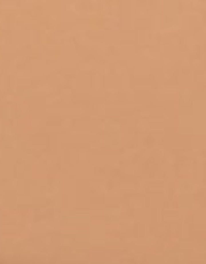 "L'Oreal Paris True Match Powder Foundation Two Way - G8 Gold Cinnamon "