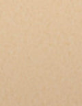 L'Oreal Paris True Match Powder Foundation Two Way - N7 Nude Amber