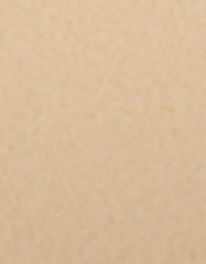 L'Oreal Paris True Match Powder Foundation Two Way - N7 Nude Amber