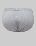 CBR240 COLE BRIEF MI