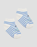 Pipiniko Stripe Dino 1 Boys Socks