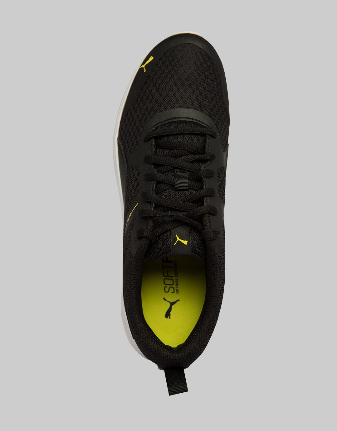 PM FW M 365268-19 SC
