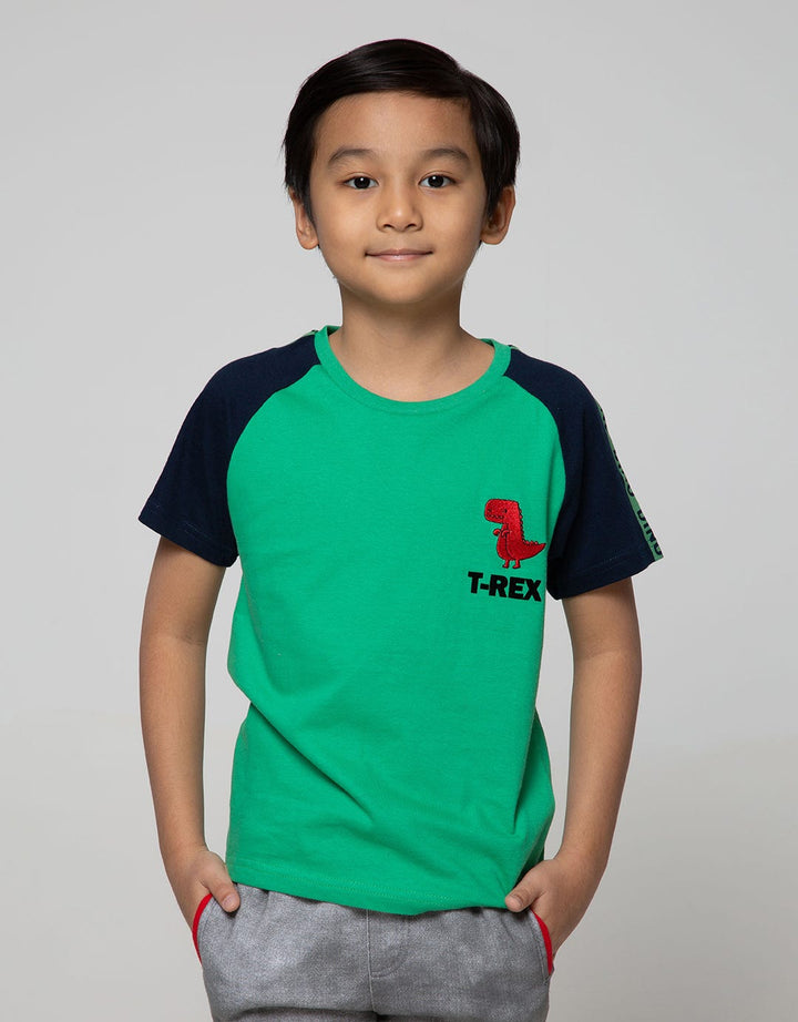 SS RAGLAN DINO FLOCK