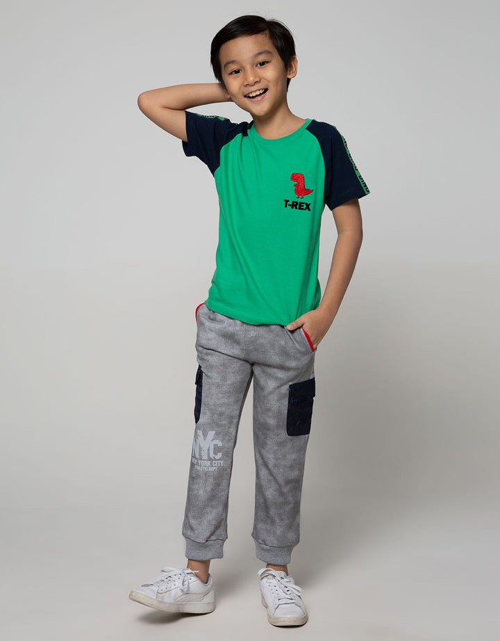 SS RAGLAN DINO FLOCK