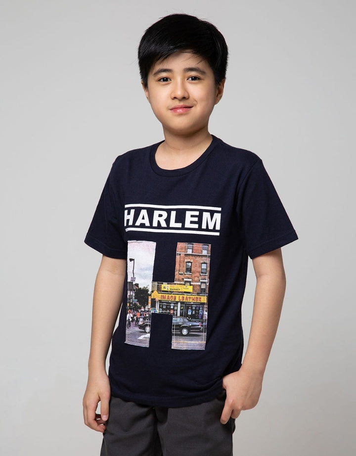 SS APPLICATION H HARLEM