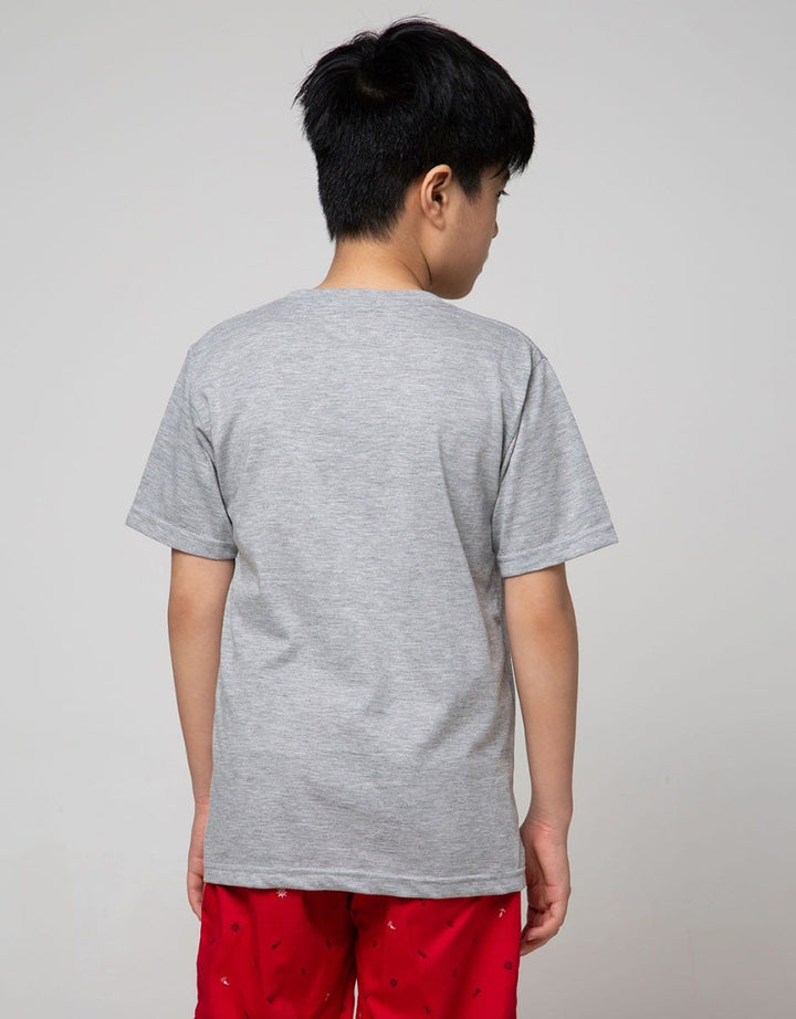 SS NEVADA APPLICATION S