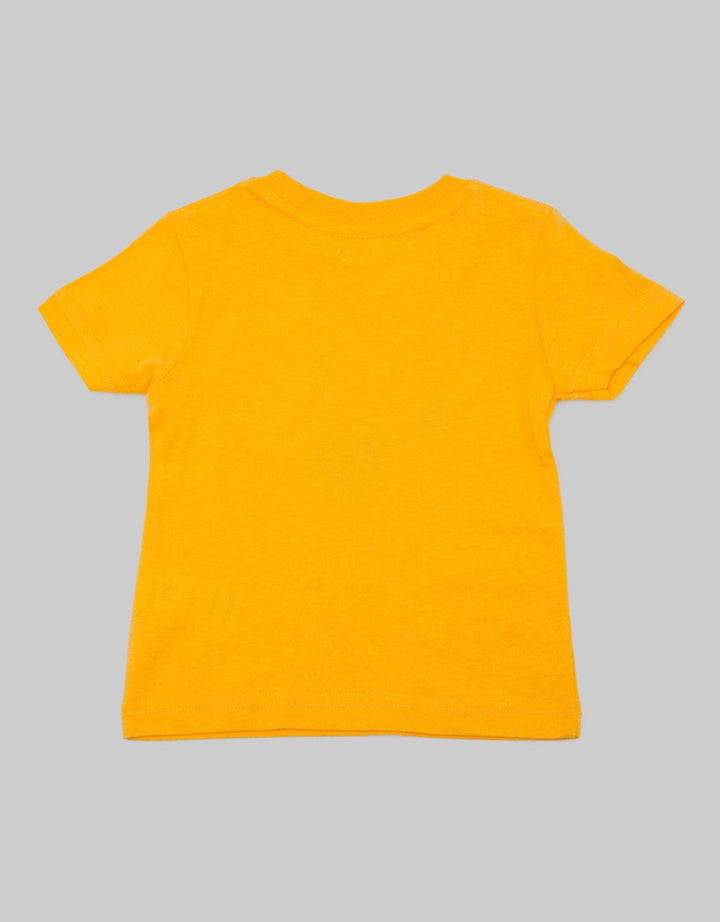 66010100WPF - TS SS