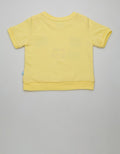 SWEATER PDK VARIOUS MY