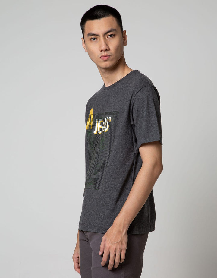 SS T-SHIRT TEXT HD