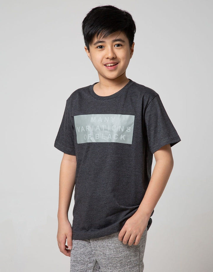 SS TSHIRT MANY VARIA