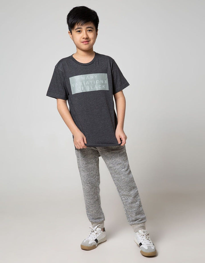 SS TSHIRT MANY VARIA