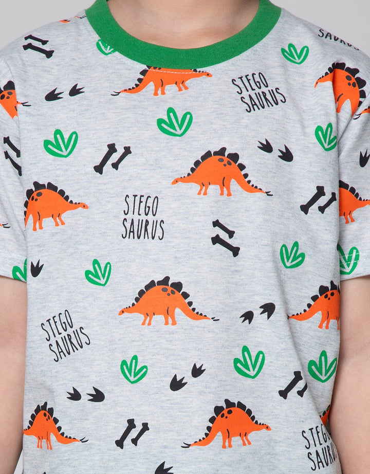 SET T-SHIRT FULLPRIN