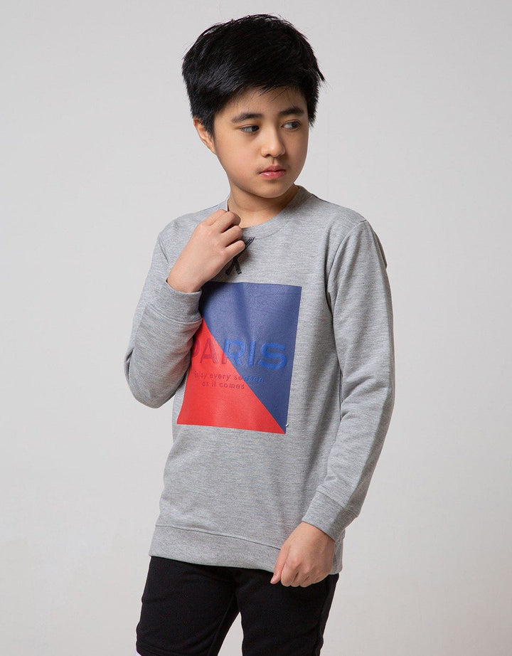 SWEATSHIRT SWEATER P