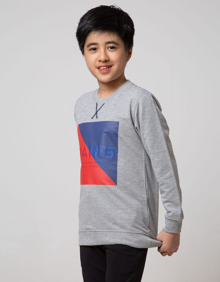 SWEATSHIRT SWEATER P