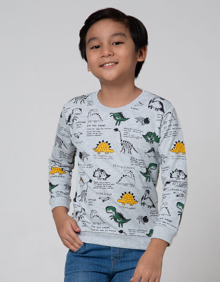 Little M Sweater Fullprint Dino