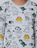 Little M Sweater Fullprint Dino