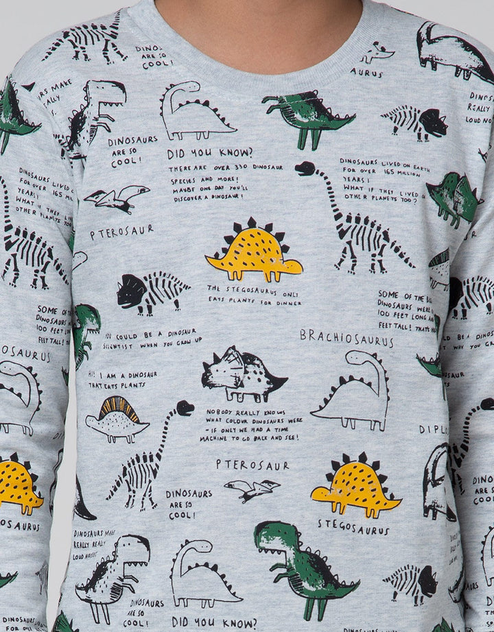 Little M Sweater Fullprint Dino
