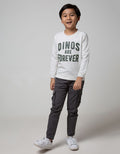 SWEATSHIRT DINOS ARE