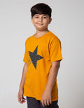SS TSHIRT  STAR WITH