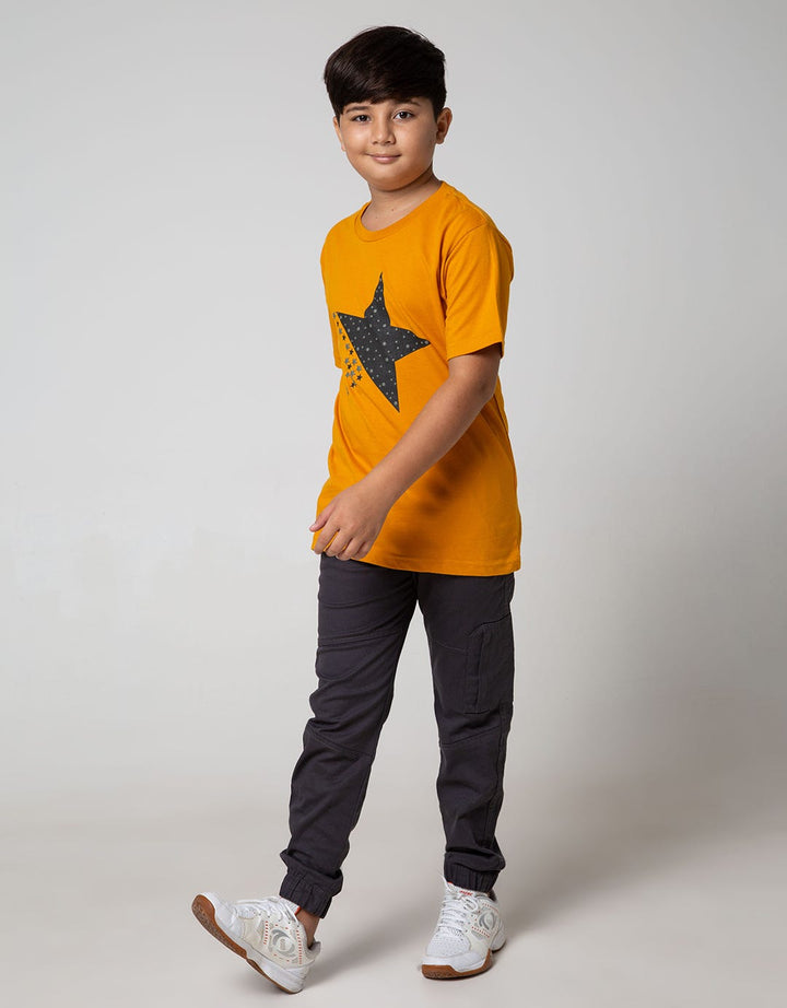 SS TSHIRT  STAR WITH