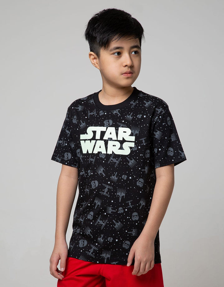 66020100SWS TS SW FP