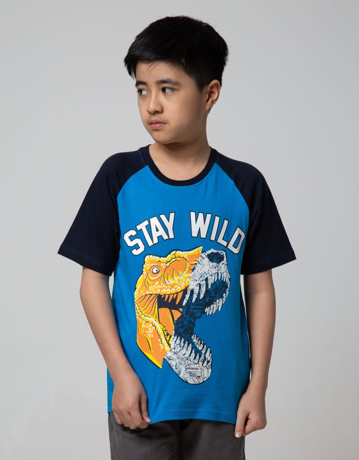 SS TSHIRT KI PRINTNO