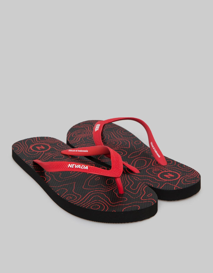 FLIP FLOPS ABSTRACT