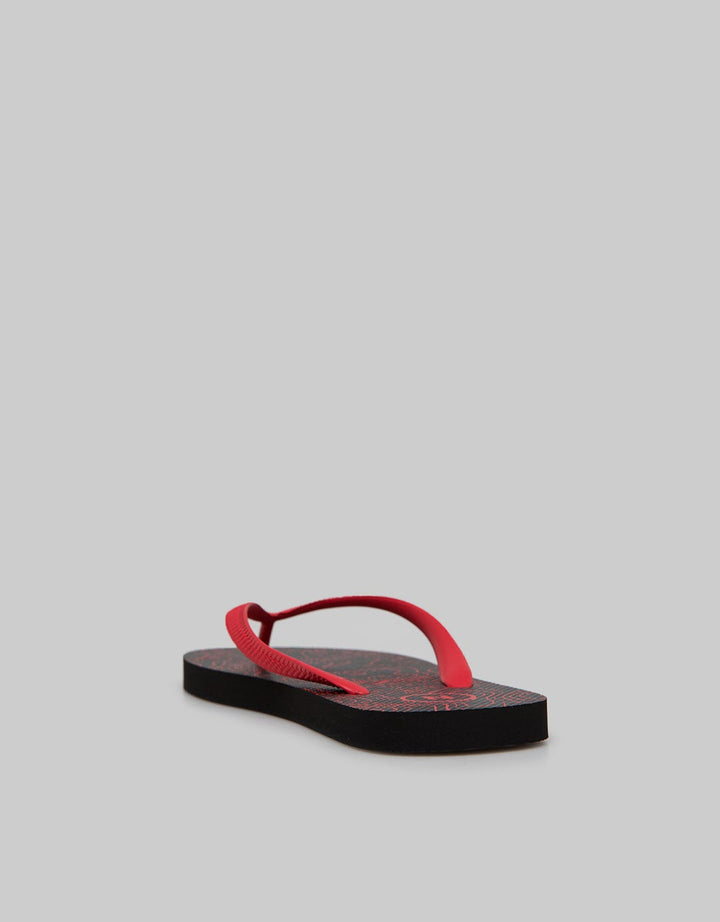 FLIP FLOPS ABSTRACT